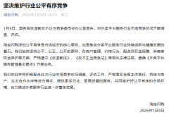 <strong>平台通过补助快速获取用户流</strong>